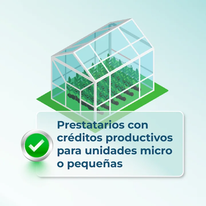 ARTES DIFERIMIENTO 241225_1.3